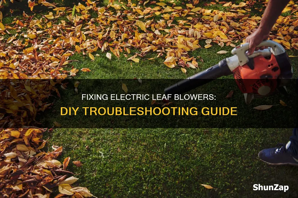 how to fix an electric leaf blower