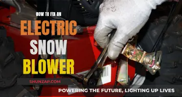 Electric Snow Blower: Repair and Maintenance Guide