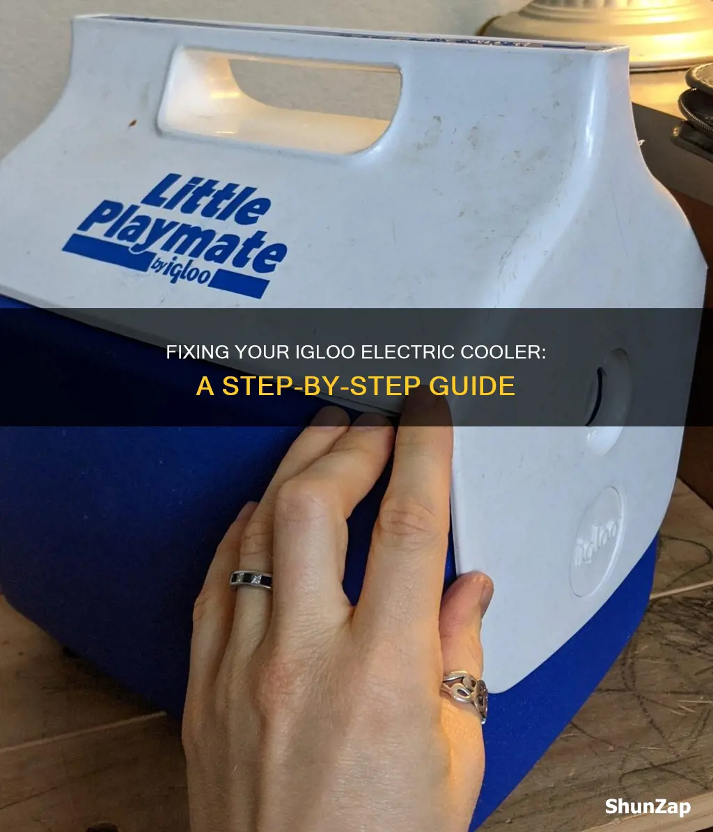 how to fix an igloo electric cooler