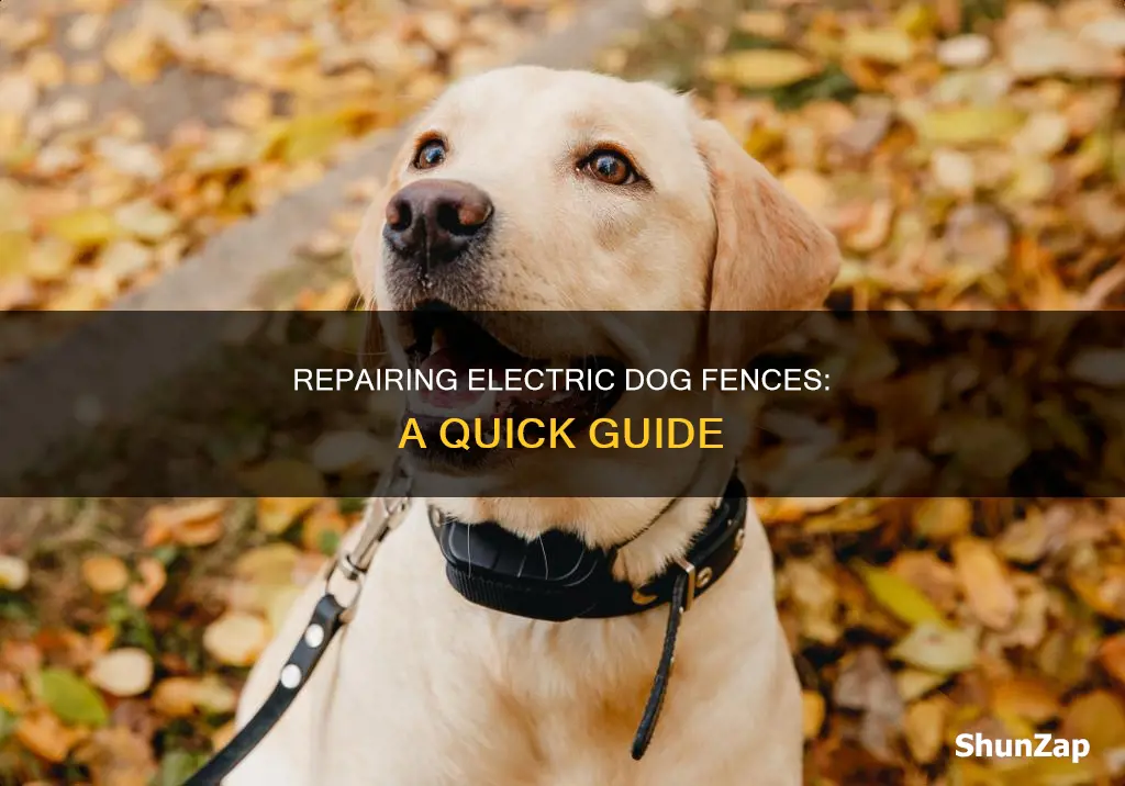 how to fix cut electric dog fence