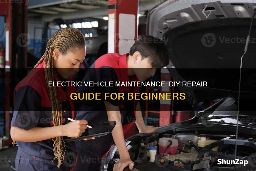 how to fix electric vehicles