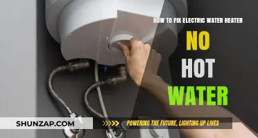 Troubleshooting Your Electric Water Heater: No Hot Water? Here's How to Fix It!