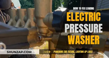Repairing Your Electric Pressure Washer: Stop the Leak!