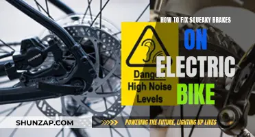 Fixing Squeaky Brakes on Your Electric Bike: A Step-by-Step Guide