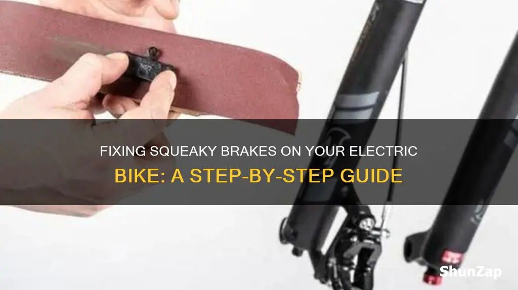 how to fix squeaky brakes on electric bike