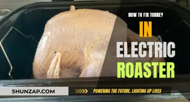 Roast Turkey Perfection: Electric Roaster Tips