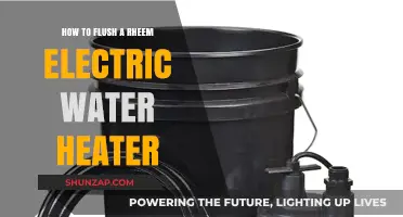 Rheem Electric Water Heater Maintenance: Flushing for Optimal Performance