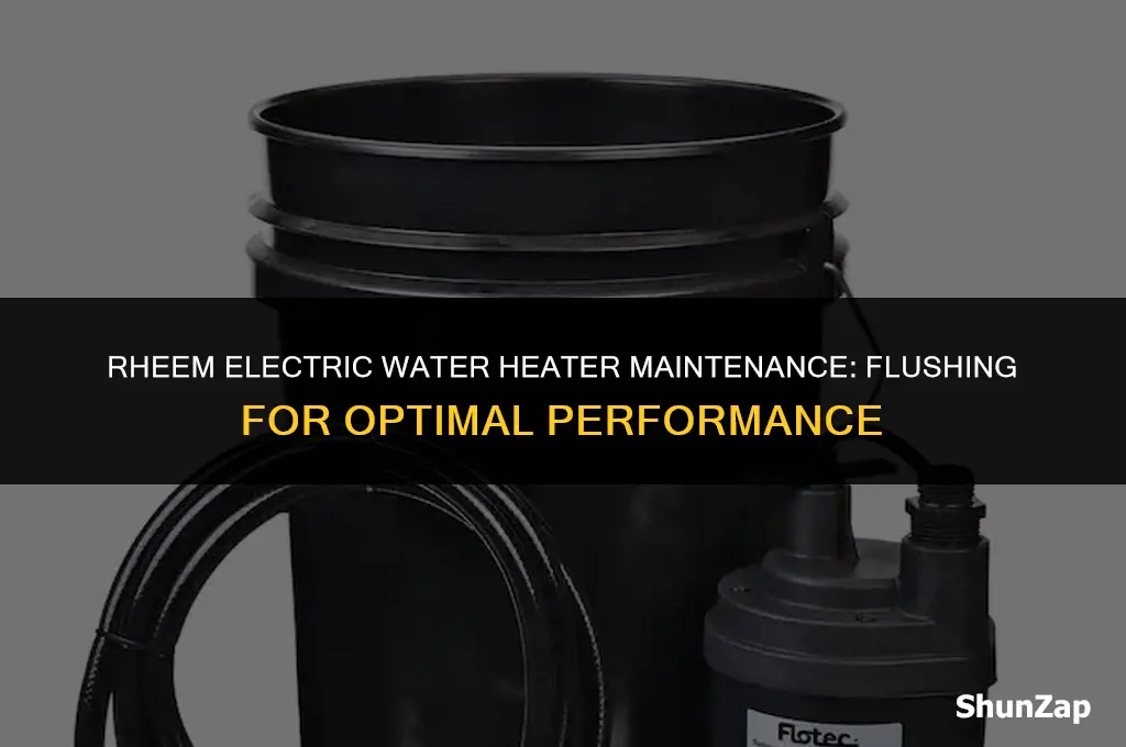 how to flush a rheem electric water heater