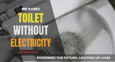 Flushing Toilets: No Electricity, No Problem!