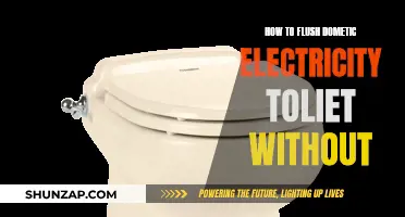 Flushing a Dometic Electric Toilet: No Water Required