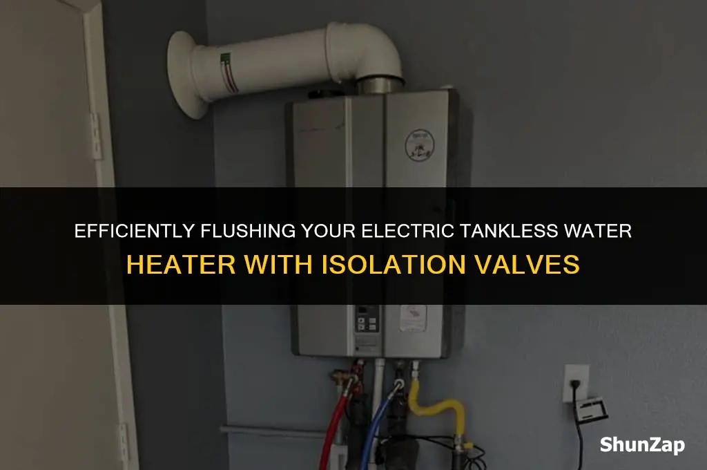 how to flush electric tankless water heater with isolation valves