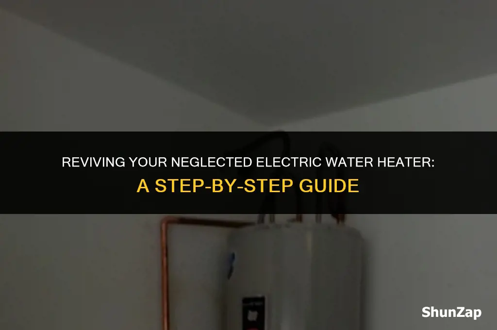 how to flush electric water heater neglected