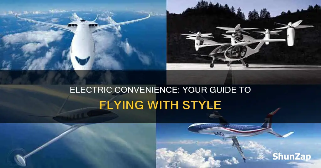 how to fly with an electric convenience vehicle