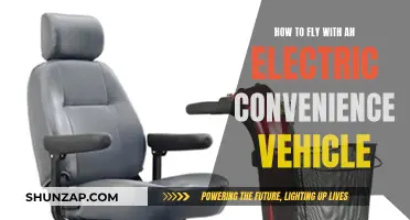 Traveling with Electric Convenience Vehicles: Flying the Friendly Skies