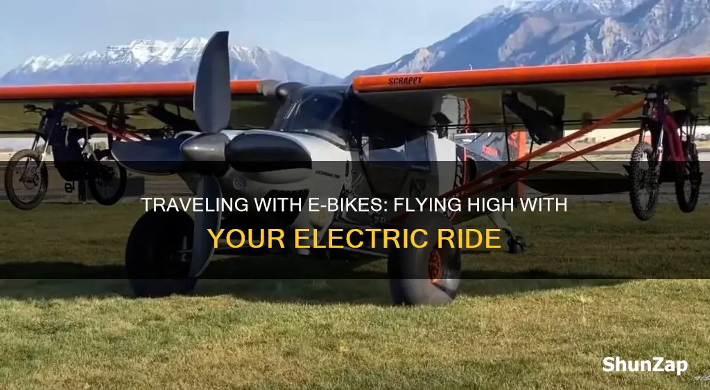 how to fly with electric bike