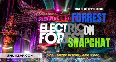 Electric Forest on Snapchat: Follow the Adventure