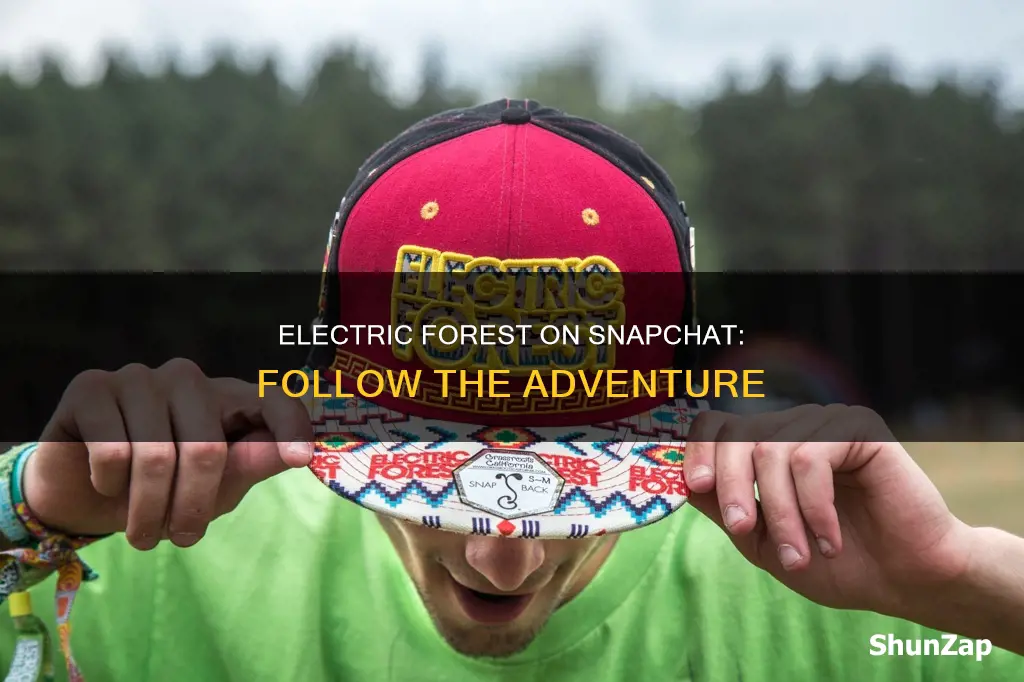 how to follow electric forrest on snapchat