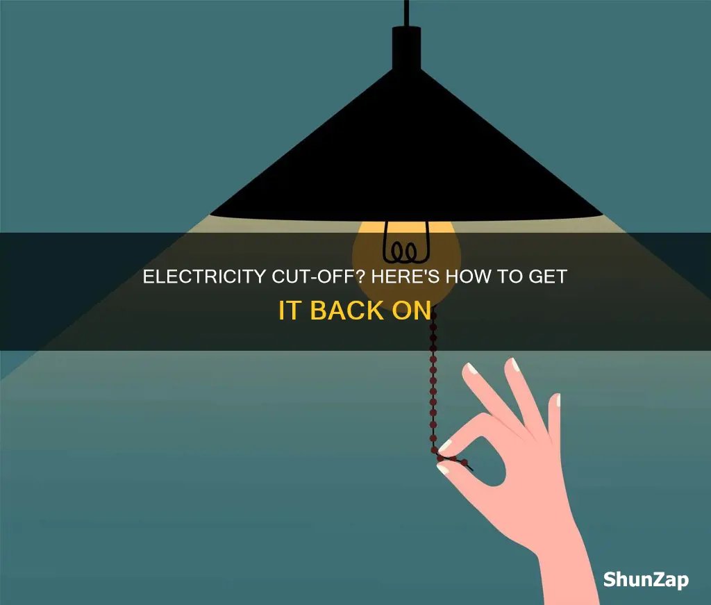 how to force my electricity back on