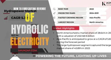 Predicting Hydroelectric Power Revenue: A Data-Driven Approach