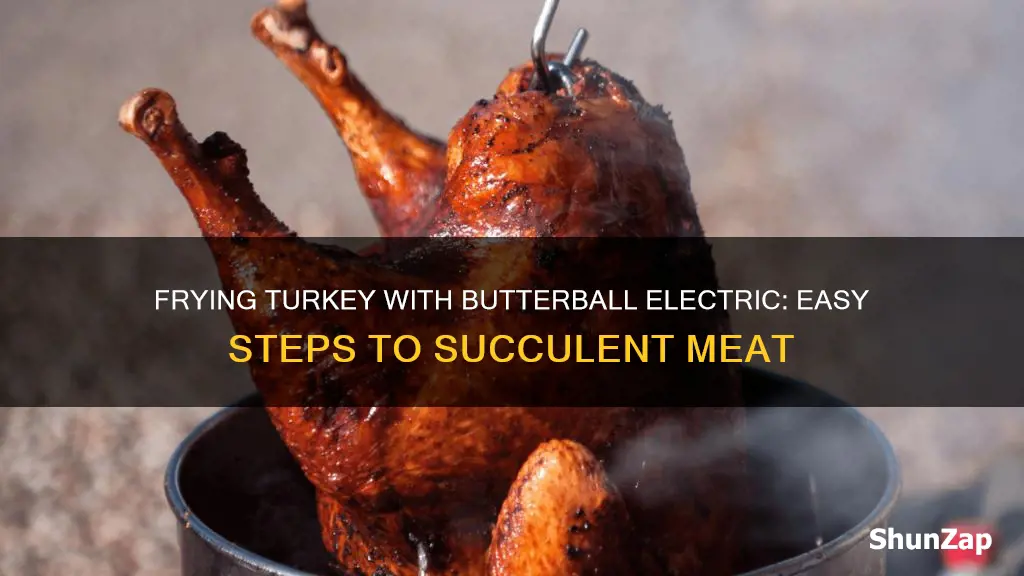 how to fry a turkey butterball electric