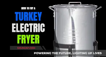 Frying Turkey with Electric Fryer: Tips and Tricks