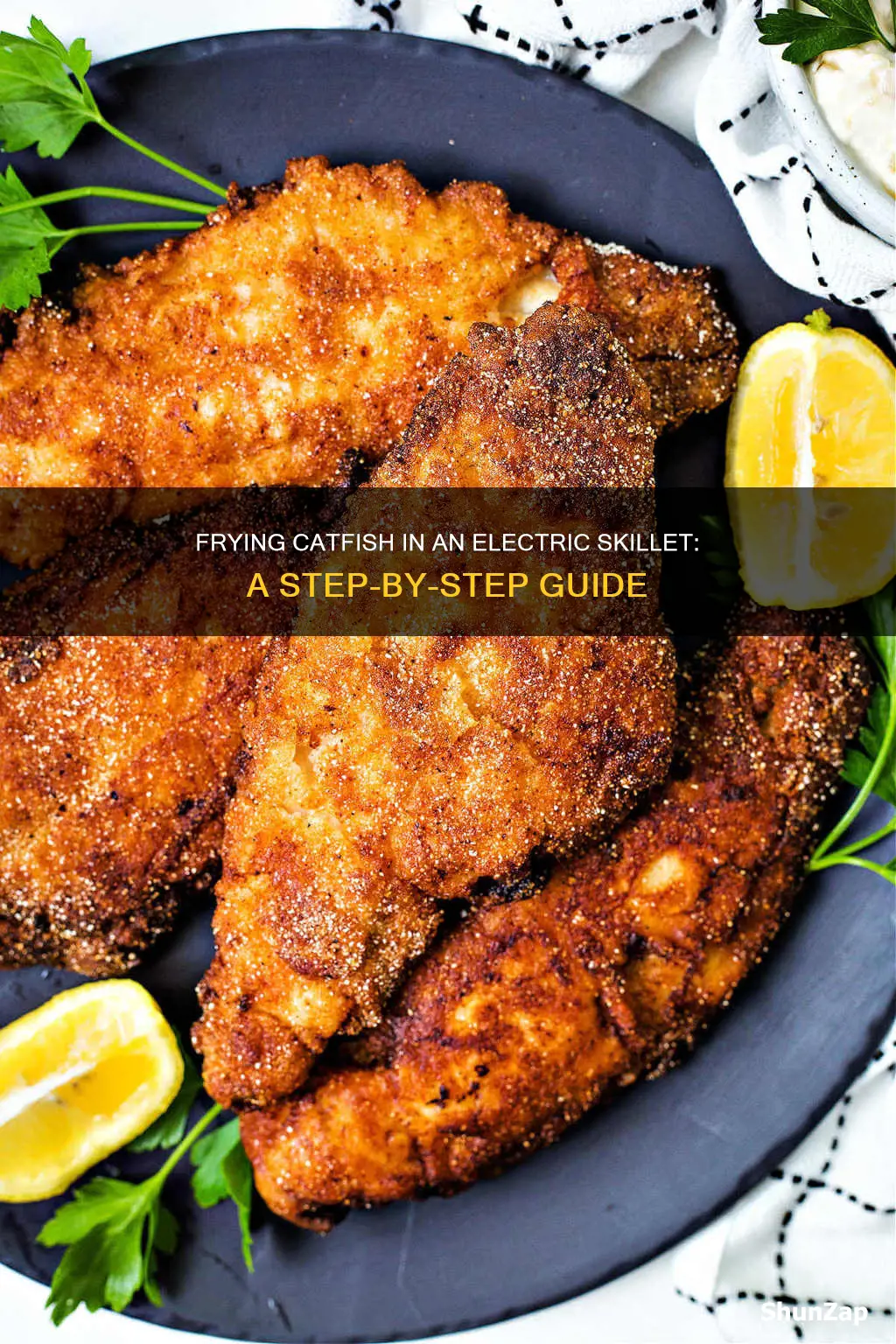 how to fry catfish ina electric skillet