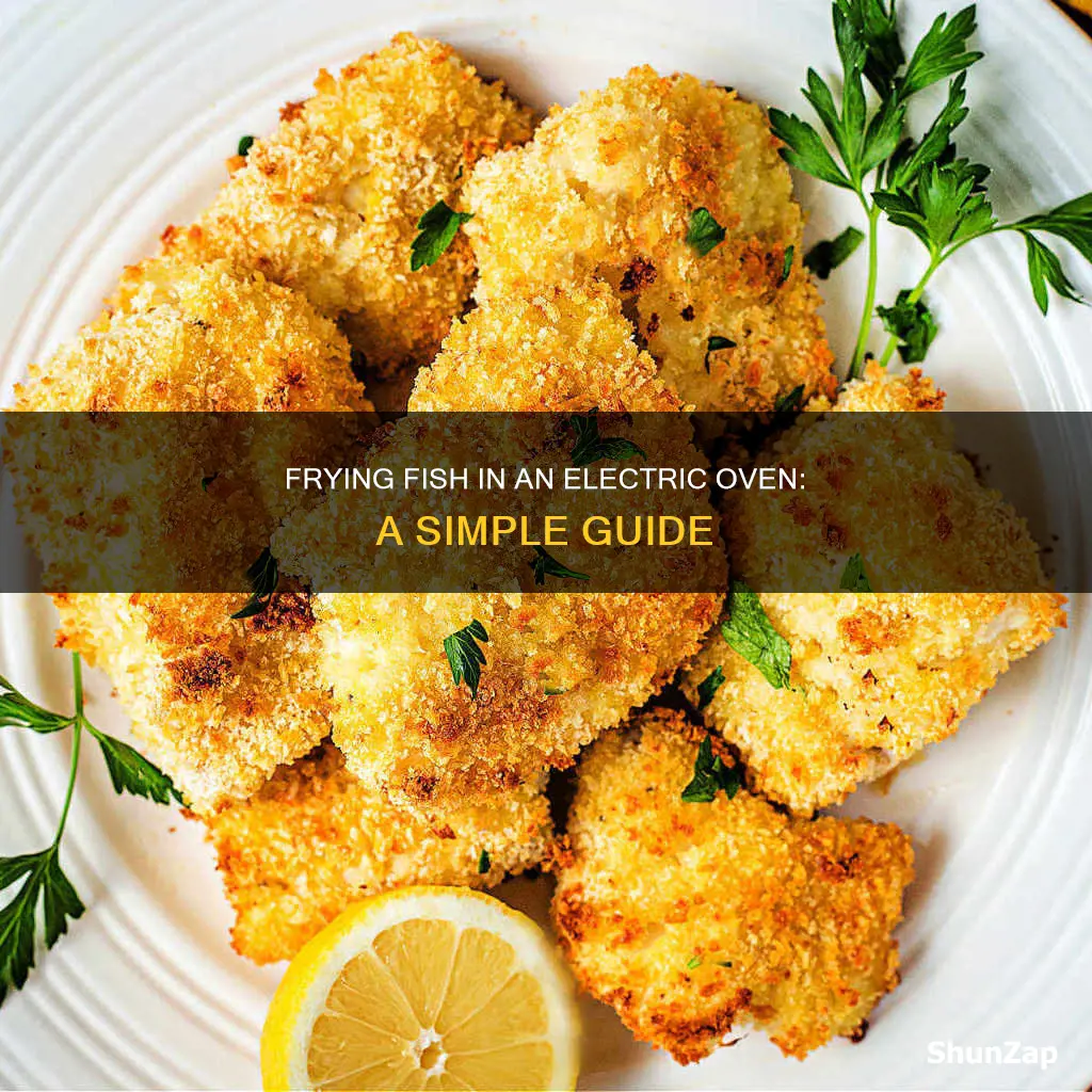 how to fry fish in electric oven