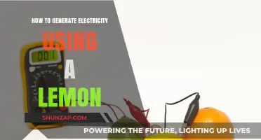 Squeeze Power: Generating Electricity with a Lemon