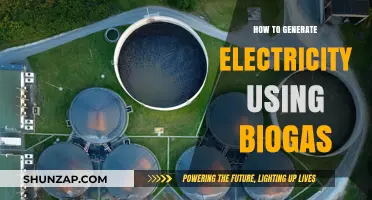 Sustainable Energy Solutions: Harnessing Biogas for Electricity Generation