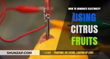 Zesty Power: Harnessing Citrus Fruits for Electricity Generation