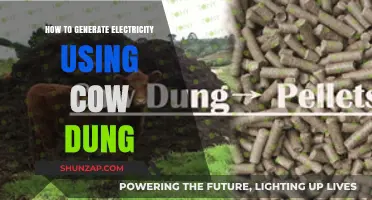 Sustainable Energy: Harnessing Power from Cow Dung