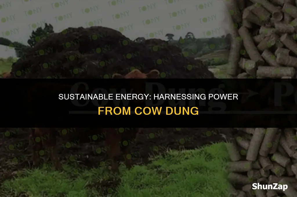 how to generate electricity using cow dung