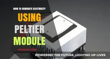 Harnessing Heat: A Beginner's Guide to Generating Electricity with Peltier Modules