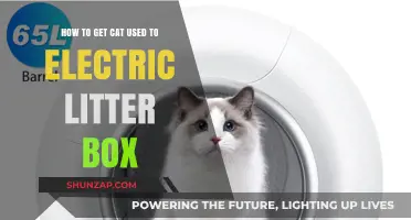 Smooth Transition: Helping Your Cat Embrace the Electric Litter Box