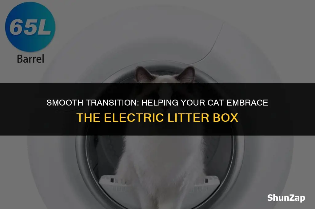 how to get cat used to electric litter box