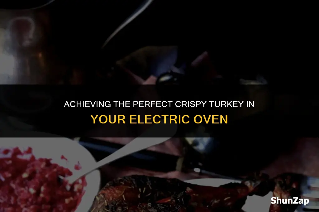 how to get cripsy turky in electric oven
