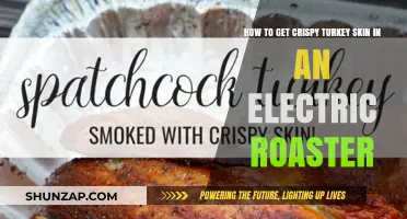 Achieving Perfectly Crispy Turkey Skin in Your Electric Roaster