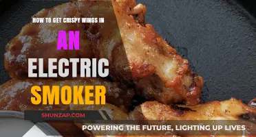 Smoking to Perfection: Crispy Wings in an Electric Smoker