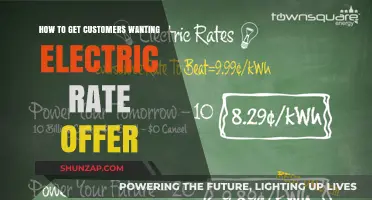 Spark Interest: Crafting Irresistible Electric Rate Offers for Customers