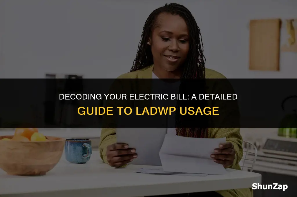how to get detailed usage on electric with the ladwp