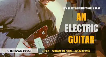 Exploring the Sonic Spectrum: Techniques for Diverse Electric Guitar Tones