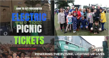 Score Big Savings: Your Guide to Discounted Electric Picnic Tickets