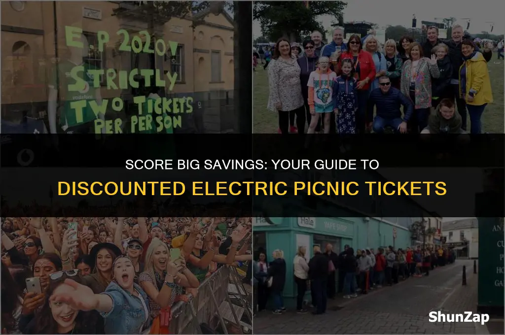 how to get discounted electric picnic tickets