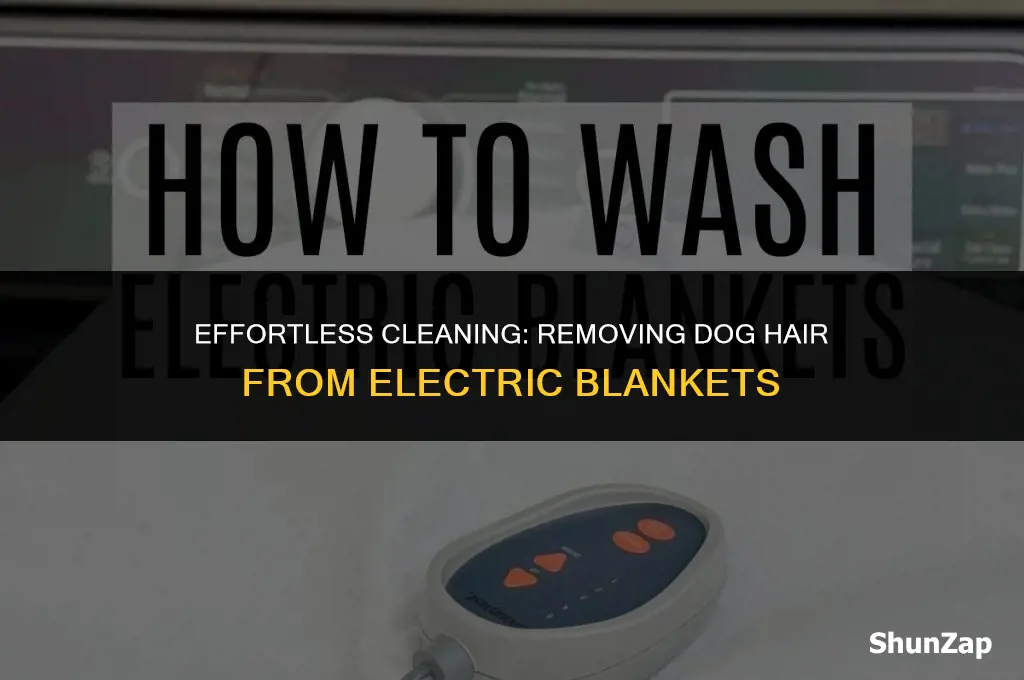 how to get dog hair off electric blanket