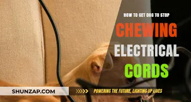 Safeguard Your Home: Effective Ways to Prevent Your Dog from Chewing Electrical Cords