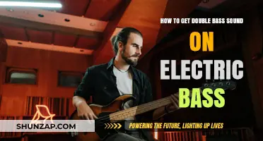 Unlocking the Deep: Emulating Double Bass on Your Electric