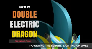 Unleashing the Double Electric Dragon: A Comprehensive Guide