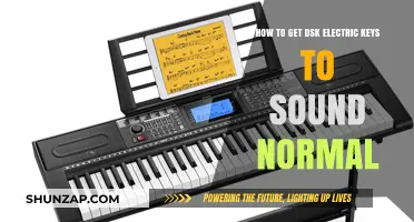 Unlocking the Natural Sound of DSK Electric Keys: A Comprehensive Guide