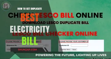 Maximize Your Savings: The Ultimate Guide to Securing Duplicate Best Electricity Bills