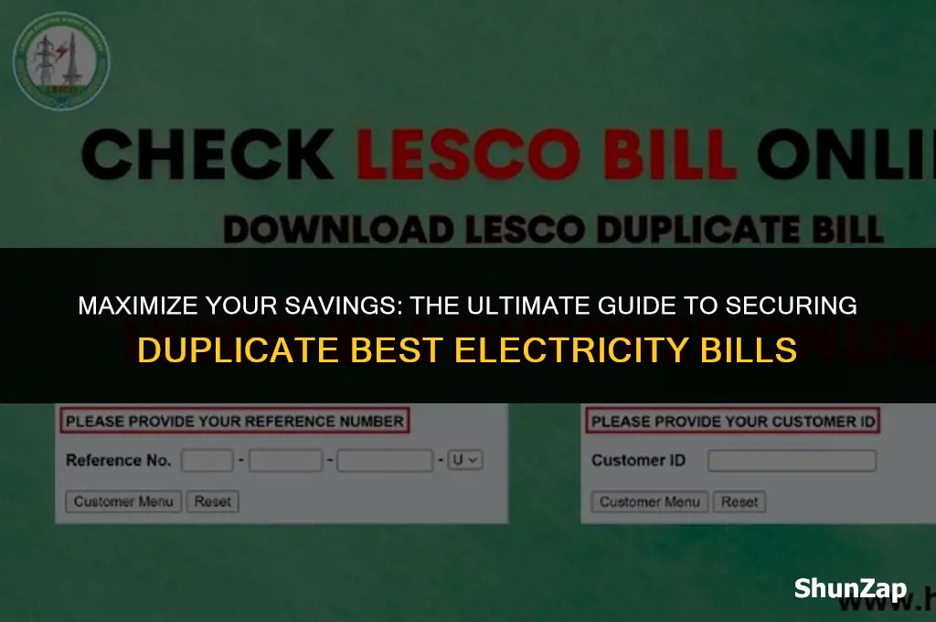 how to get duplicate best electricity bill